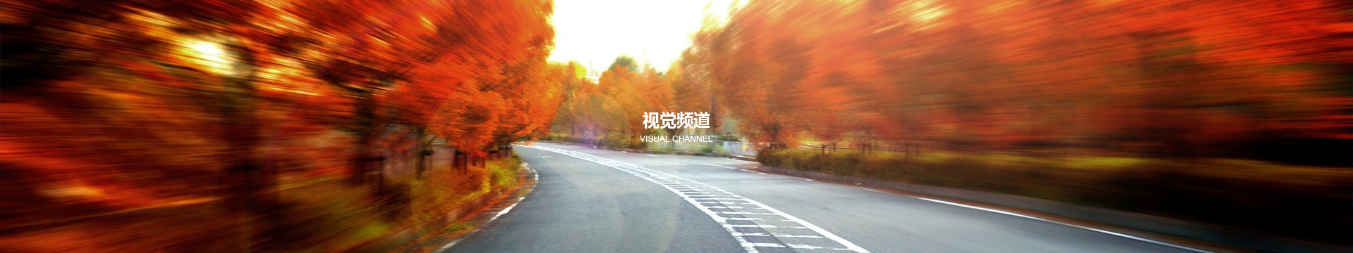 视觉频道banner