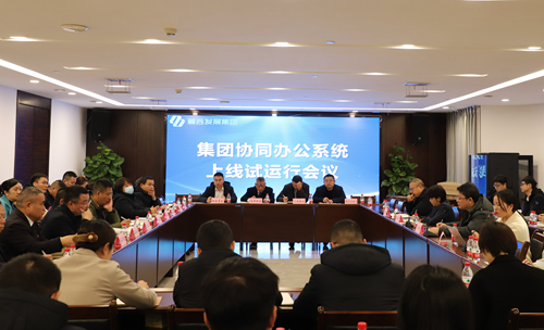 
                                                集团召开协同办公系统上线试运⾏会议