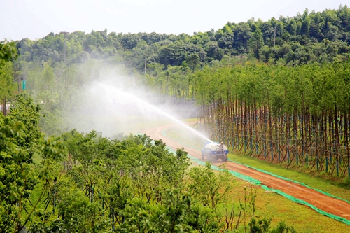 6 每天都有园林工人负责养护麓谷这一片“绿肺”_副本.jpg