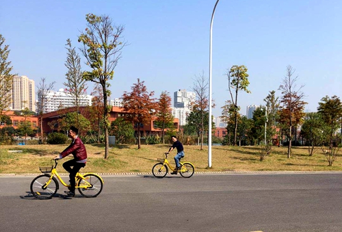 TIM图片20171120134313.jpg TIM图片20171120134313.jpg