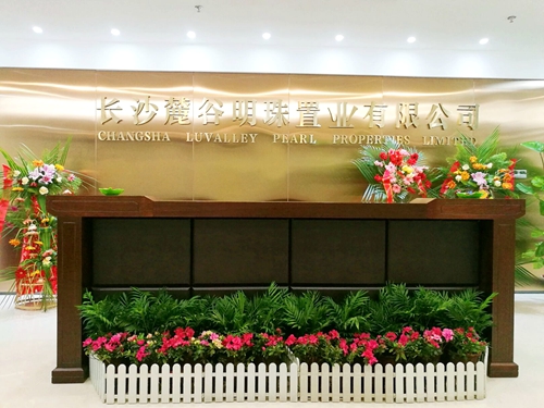 TIM图片20180315144801_副本.jpg TIM图片20180315144801_副本.jpg