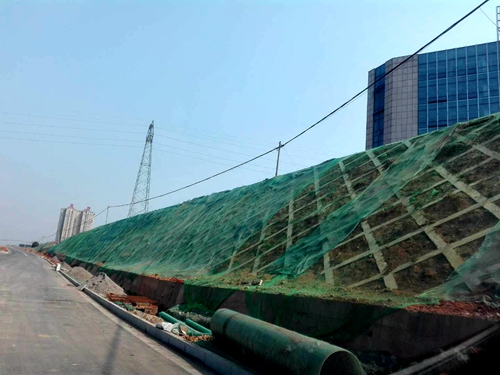 黄桥大道边坡覆盖.jpg 黄桥大道边坡覆盖.jpg