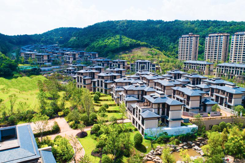 图片1.png 图片1.png