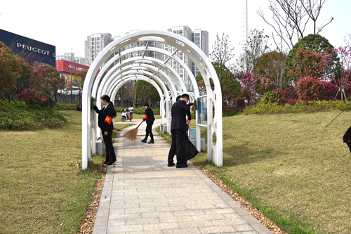 DSC_3833.JPG.jpg DSC_3833.JPG.jpg