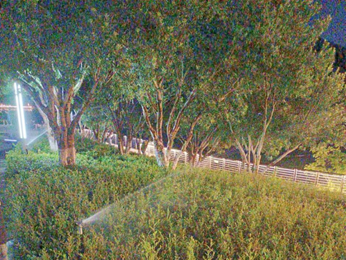 图片1.png 图片1.png