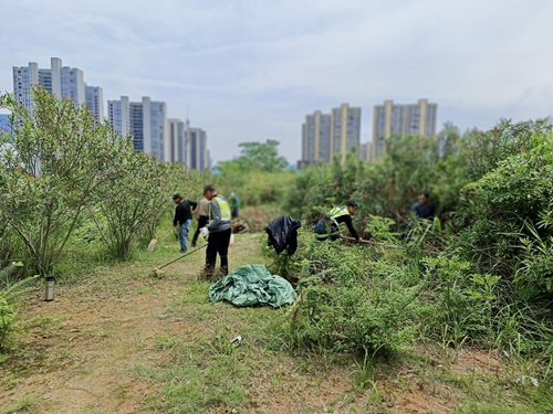 d08085ff6316754044668875b720ae0_副本.jpg d08085ff6316754044668875b720ae0_副本.jpg