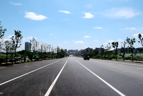 
                                                松柏路（樱花路-铃兰路）正式通车