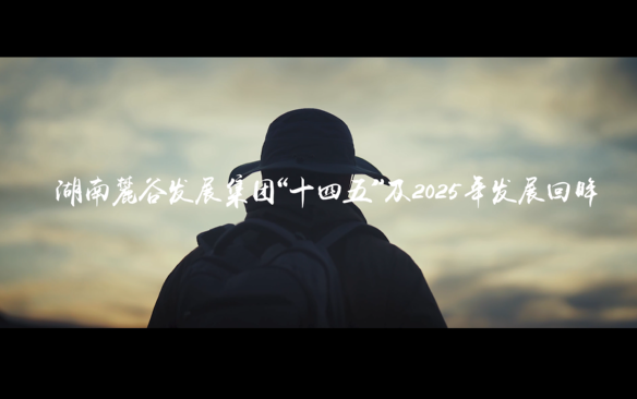 湖南麓谷发展集团“十四五”及2025年发展回眸